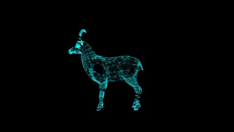 3d rendering goat wireframe high poly mesh Stock Footage 106272076