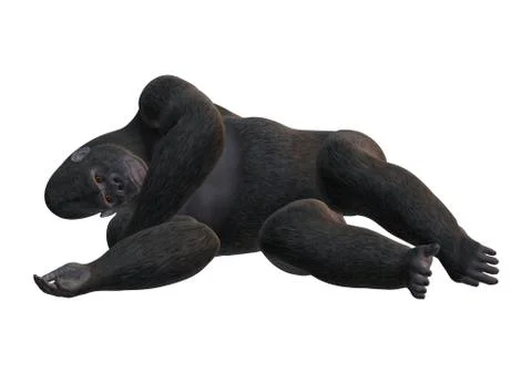 3D Rendering Gorilla on White Stock Illustration
