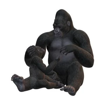 3D Rendering Gorillas on White Stock Illustration