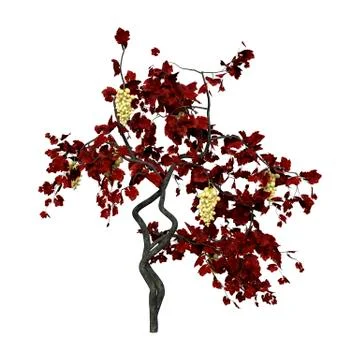 3D Rendering Grapevine Plant on White Ilustração Stock