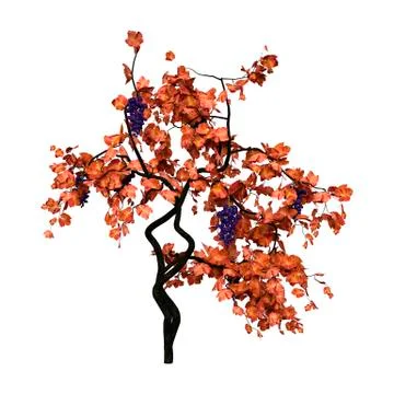 3D Rendering Grapevine on White Ilustração Stock