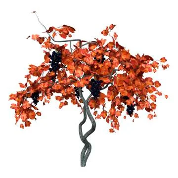 3D Rendering Grapevine on White Ilustração Stock