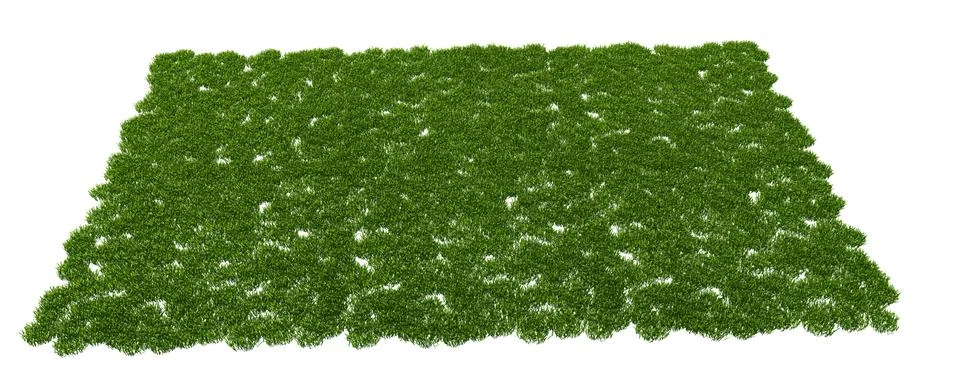 3d rendering of a grass patch isolated on white for architecture design or ot Stock Illustration