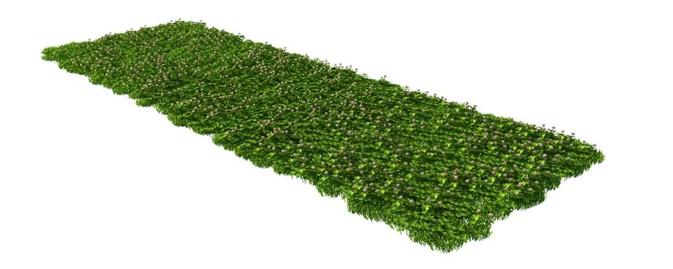 3d rendering of a grass patch isolated on white for architecture design or ot Stock Illustration