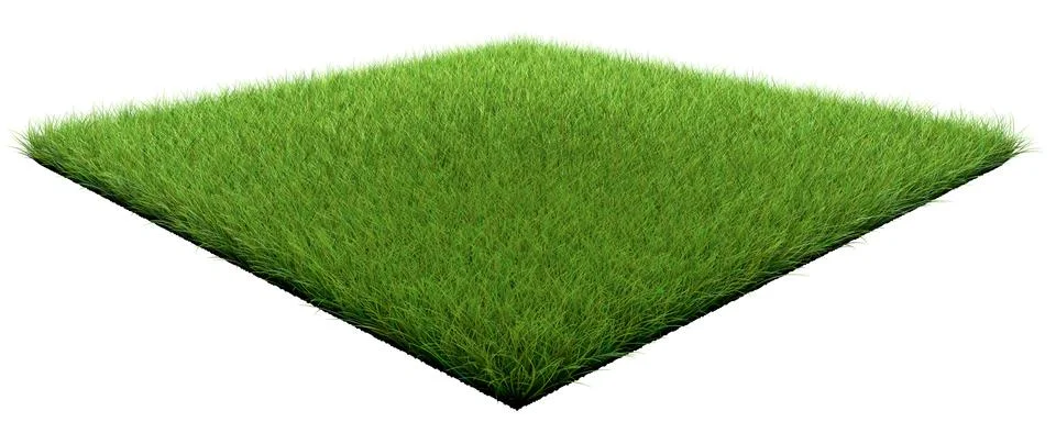 3d rendering of a grass patch isolated on white for architecture design or ot Stock Illustration