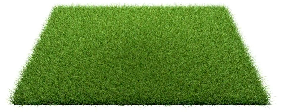 3d rendering of a grass patch isolated on white for architecture design or ot Illustrazione stock