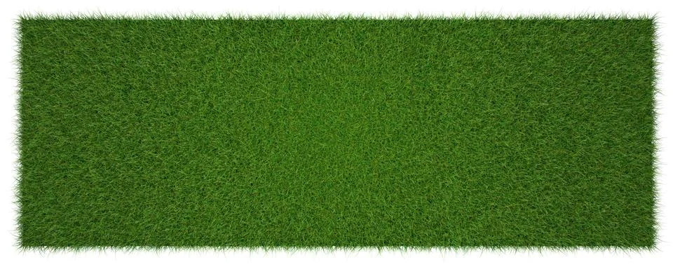 3d rendering of a grass patch isolated on white for architecture design or ot Stock Illustration