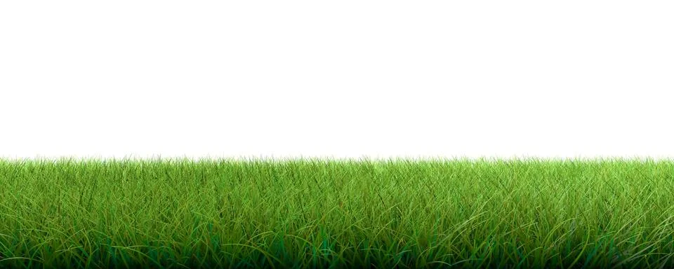 3d rendering of a grass patch isolated on white for architecture design or ot Illustrazione stock