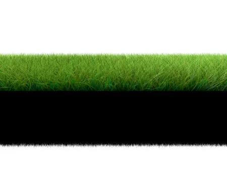 3d rendering of a grass patch isolated on white for architecture design or ot Stock Illustration