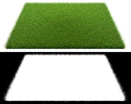 3d rendering of a grass patch isolated on white for architecture design or ot Stockillustratie