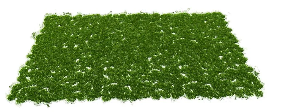 3d rendering of a grass patch isolated on white for architecture design or ot Stock Illustration