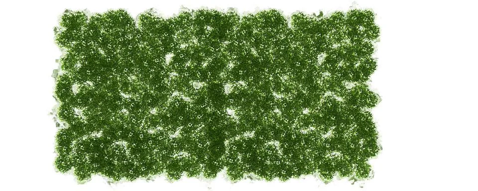 3d rendering of a grass patch isolated on white for architecture design or ot イラスト素材