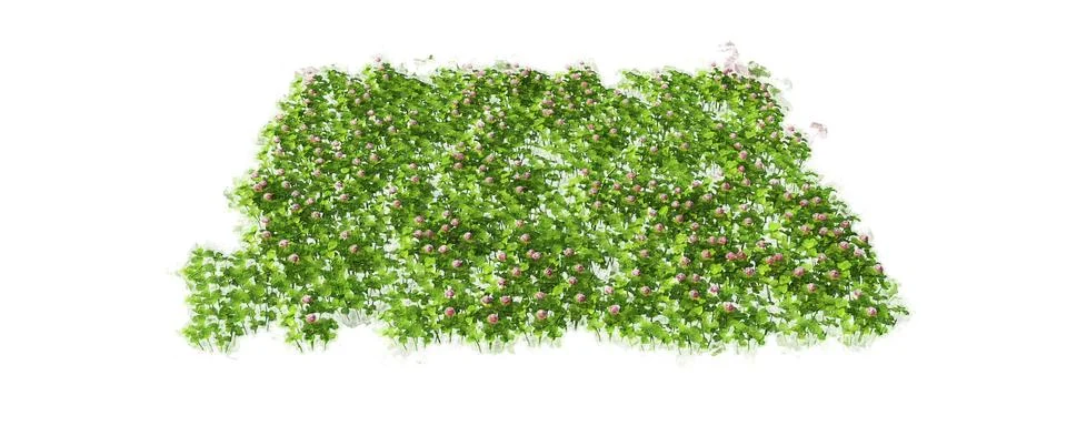3d rendering of a grass patch isolated on white for architecture design or ot Ilustración de archivo
