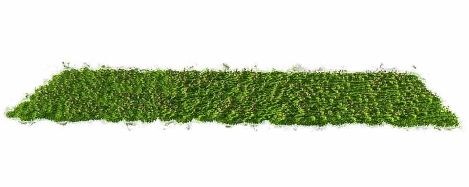 3d rendering of a grass patch isolated on white for architecture design or ot Stock Illustration