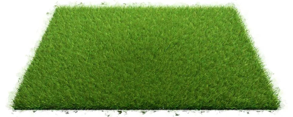 3d rendering of a grass patch isolated on white for architecture design or ot Illustrazione stock