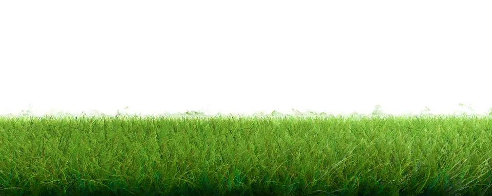 3d rendering of a grass patch isolated on white for architecture design or ot Illustrazione stock
