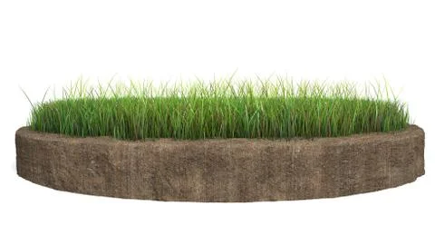 3d rendering of a grass patch isolated on white Illustrazione stock