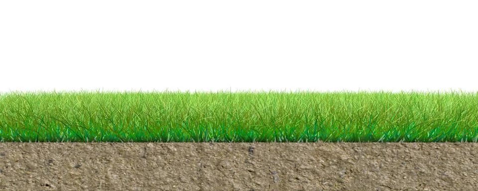 3d rendering of a grass patch isolated on white 스톡 일러스트