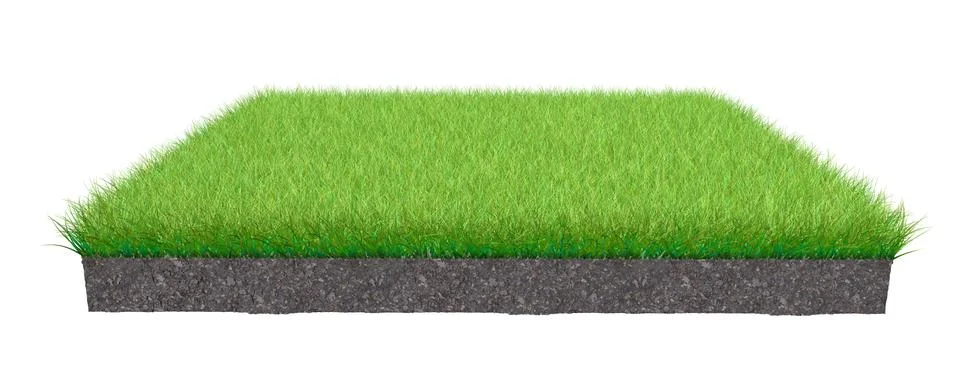 3d rendering of a grass patch isolated on white Stock Illustration