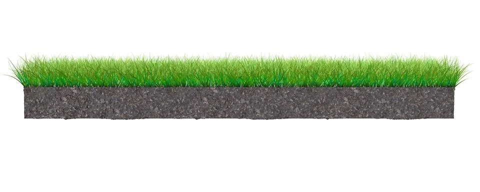 3d rendering of a grass patch isolated on white Stock Illustration