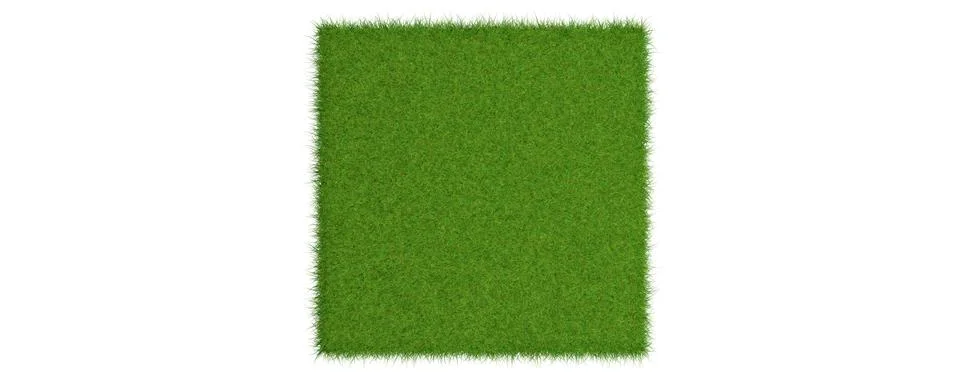 3d rendering of a grass patch isolated on white Stock Illustration