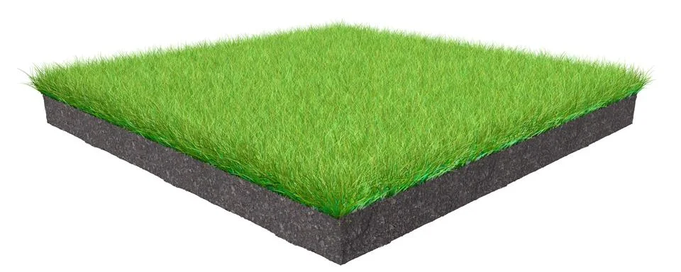 3d rendering of a grass patch isolated on white Illustrazione stock