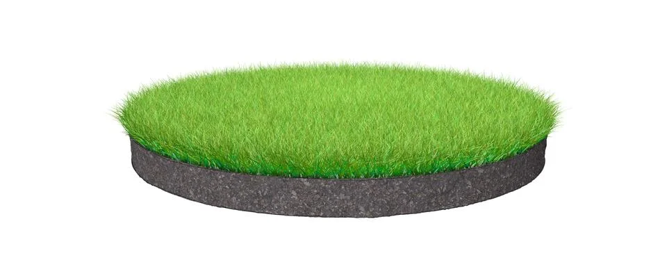 3d rendering of a grass patch isolated on white Illustrazione stock