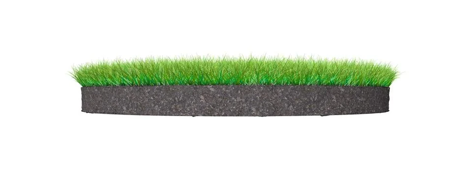 3d rendering of a grass patch isolated on white Illustrazione stock