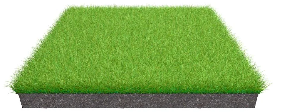 3d rendering of a grass patch isolated on white イラスト素材