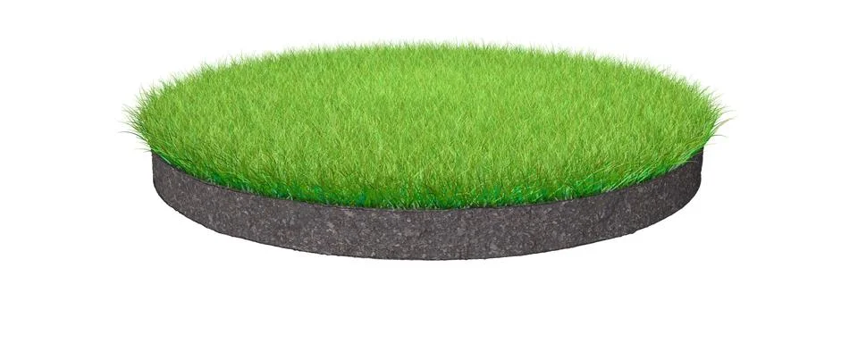 3d rendering of a grass patch isolated on white 스톡 일러스트