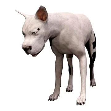 3D Rendering Grat Dane Dog on White Stock Illustration