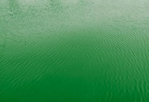 3D rendering of a green abstract water surface background Stockillustratie