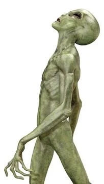 3D Rendering Green Alien on White Stock Illustration