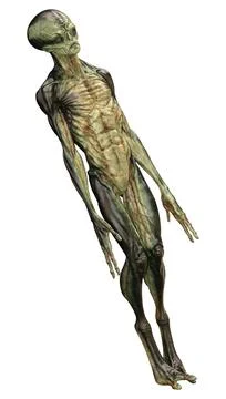 3D Rendering Green Alien on White Illustrazione stock