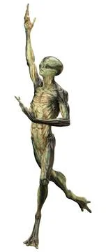 3D Rendering Green Alien on White Stock Illustration