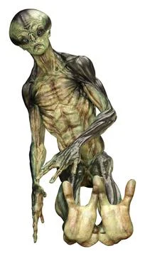 3D Rendering Green Alien on White 库存插图