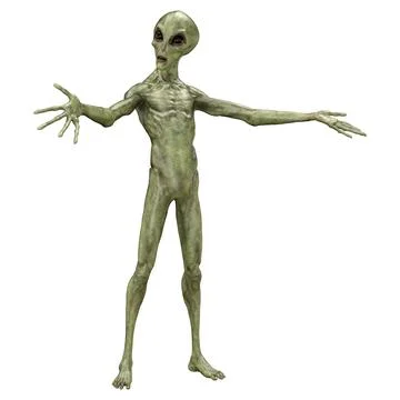 3D Rendering Green Alien on White Stock Illustration