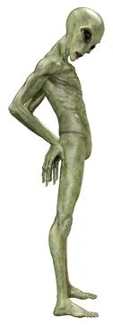 3D Rendering Green Alien on White Stock Illustration