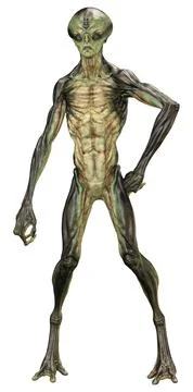 3D Rendering Green Alien on White Stock Illustration