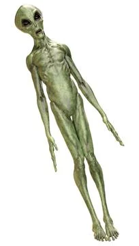 3D Rendering Green Alien on White 스톡 일러스트