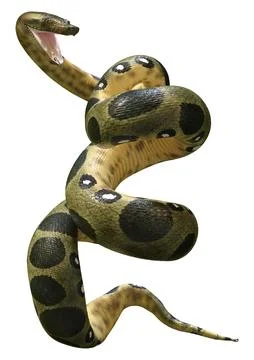 3D Rendering Green Anaconda on White Stock Illustration