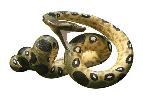 3D Rendering Green Anaconda on White Stock Illustration
