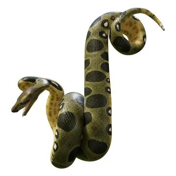 3D Rendering Green Anaconda on White Stock Illustration