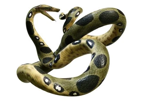 3D Rendering Green Anaconda on White Stock Illustration