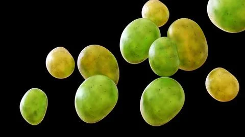 A 3d rendering of green and unripe potatoes  in the black background Stock Illustration