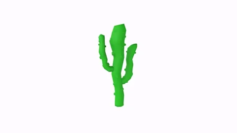 3D rendering of a green cactus model against a white background Stock-Footage 287985752