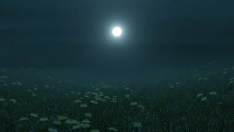 3d rendering of a green field with flowers at midnight. Abstract spring hills Stock Footage 168258506