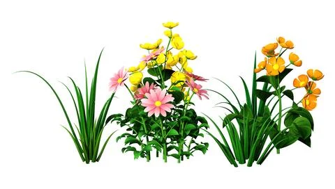 3D Rendering Green Grass and Flowers on White Stock Illustration