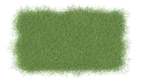 3D rendering of the green grass with clipping path. Stock Illustration