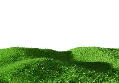 3d rendering. Green grass field isolated on white background. Illustrazione stock